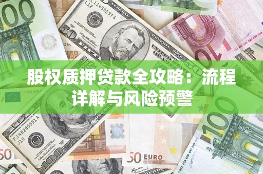 北京股权质押贷款全攻略：流程详解与风险预警