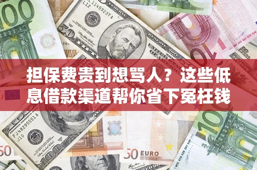 北京担保费贵到想骂人？这些低息借款渠道帮你省下冤枉钱