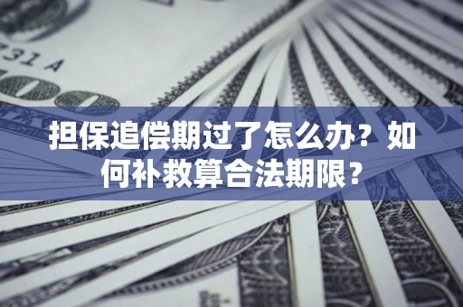 北京担保追偿期过了怎么办？如何补救算合法期限？