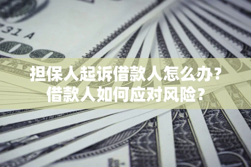 北京担保人起诉借款人怎么办？借款人如何应对风险？